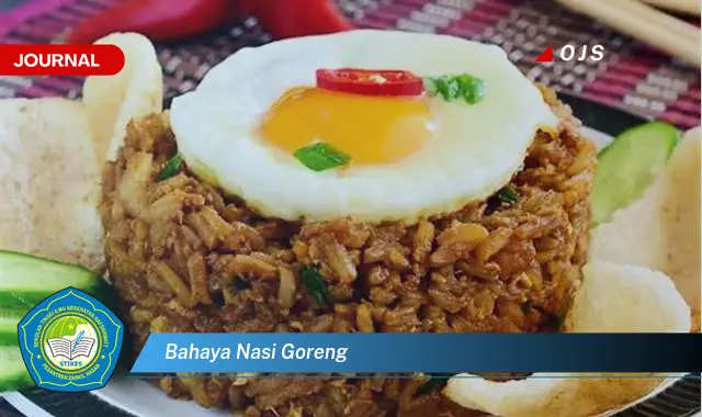 bahaya nasi goreng