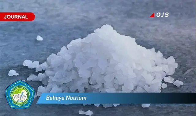bahaya natrium