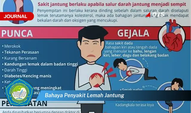 bahaya penyakit lemah jantung