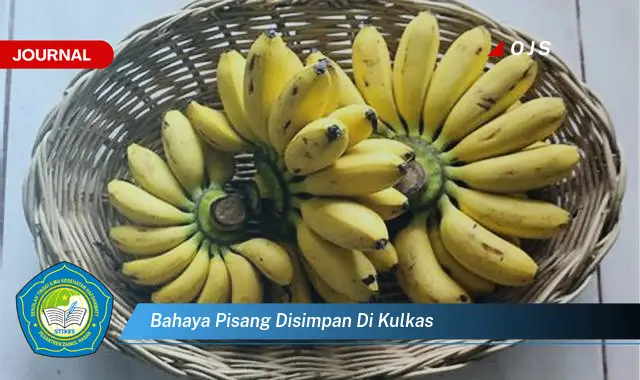 bahaya pisang disimpan di kulkas