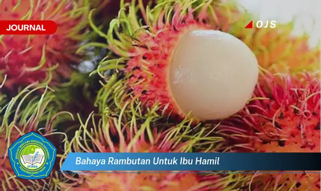 bahaya rambutan untuk ibu hamil