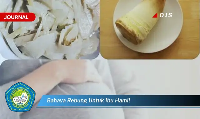 bahaya rebung untuk ibu hamil