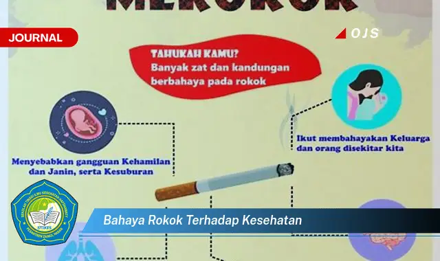 bahaya rokok terhadap kesehatan