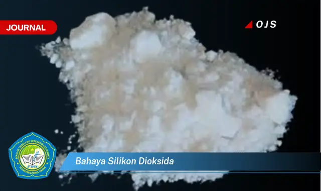 bahaya silikon dioksida