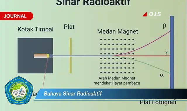 bahaya sinar radioaktif