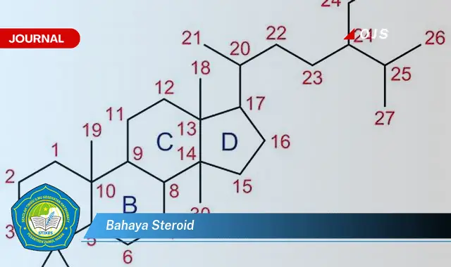 bahaya steroid