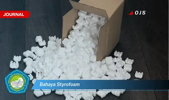 bahaya styrofoam