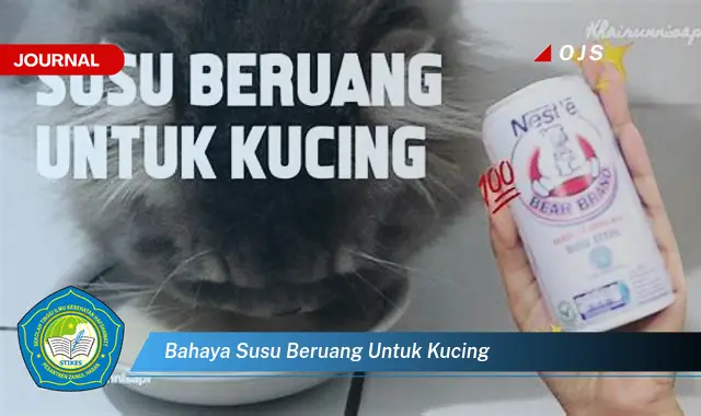bahaya susu beruang untuk kucing