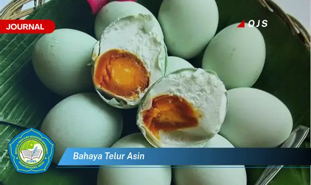 bahaya telur asin