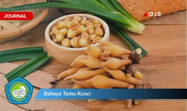 bahaya temu kunci