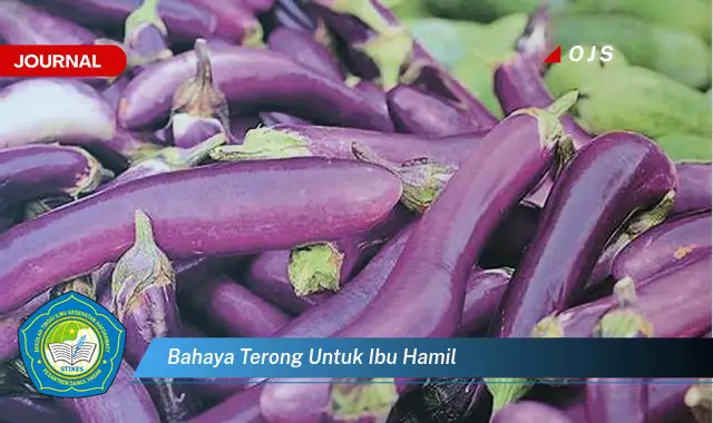 bahaya terong untuk ibu hamil