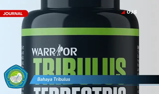 bahaya tribulus