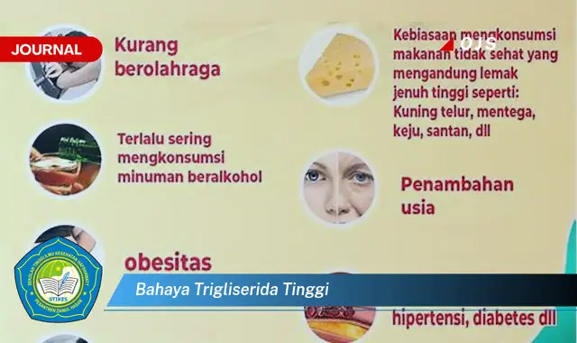 bahaya trigliserida tinggi