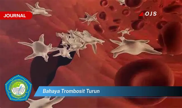 bahaya trombosit turun