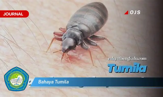 bahaya tumila