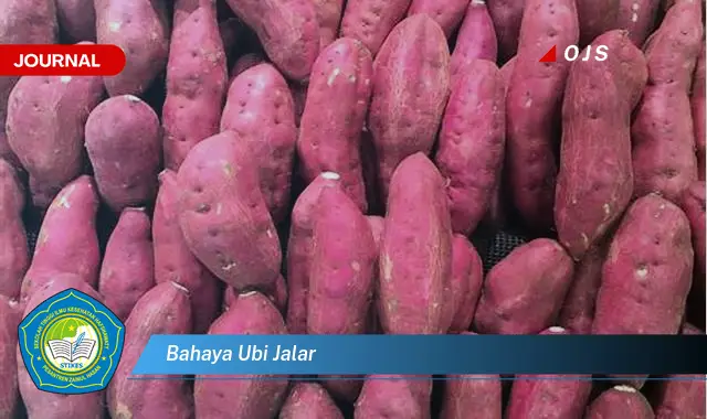bahaya ubi jalar bahaya ubi jalar