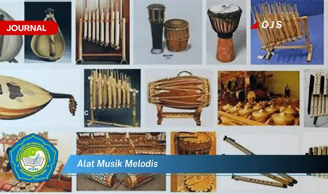 alat musik melodis