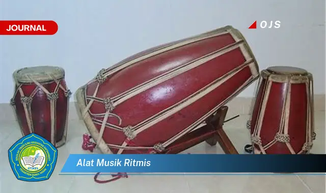 alat musik ritmis