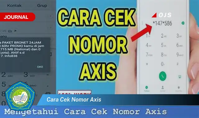 cara cek nomor axis