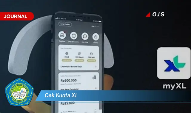 cek kuota xl