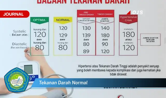 tekanan darah normal