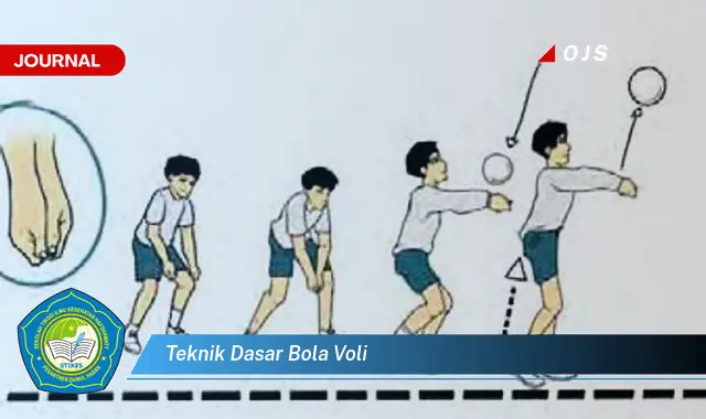 Intip 5 Teknik Dasar Bola Voli yang Bikin Kamu Penasaran