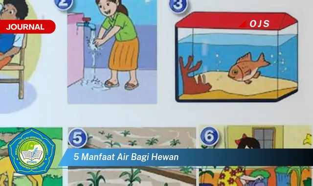 5 manfaat air bagi hewan 5 manfaat air bagi hewan