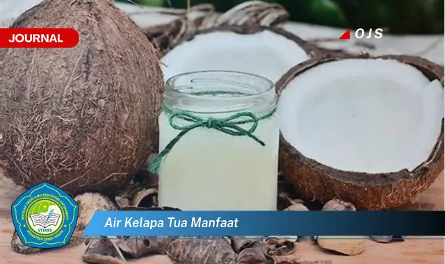 air kelapa tua manfaat