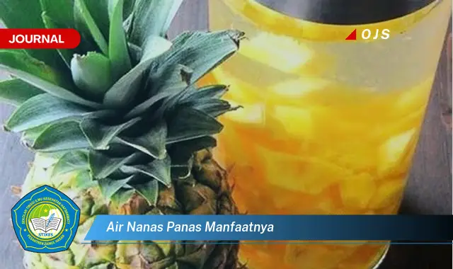 air nanas panas manfaatnya