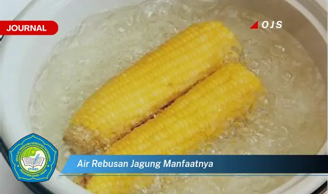 air rebusan jagung manfaatnya