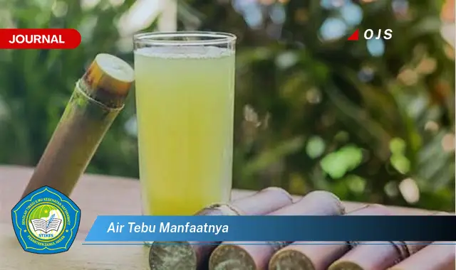 air tebu manfaatnya