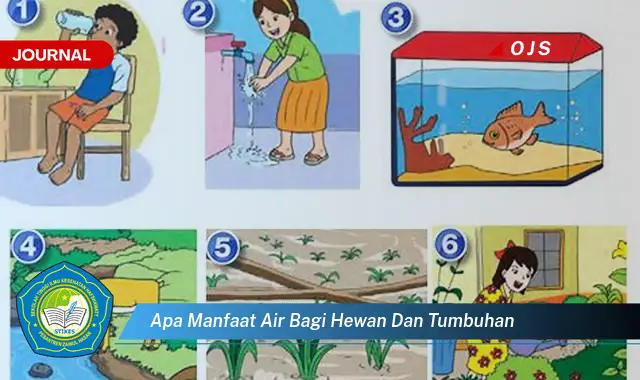 apa manfaat air bagi hewan dan tumbuhan