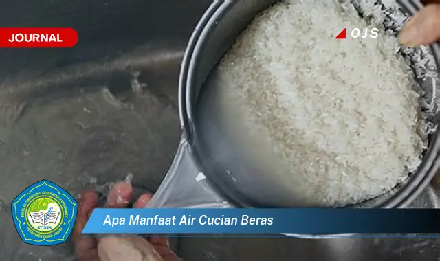 apa manfaat air cucian beras