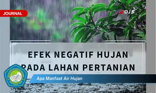 apa manfaat air hujan