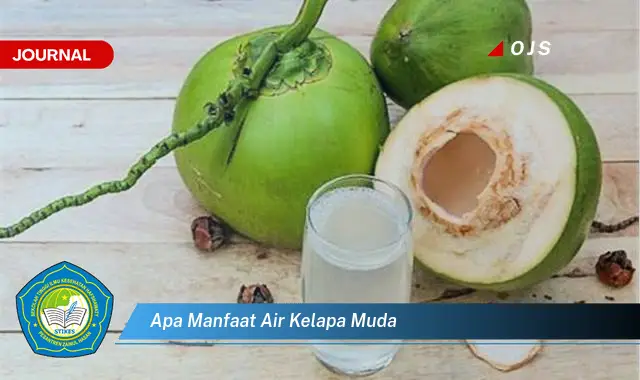 apa manfaat air kelapa muda