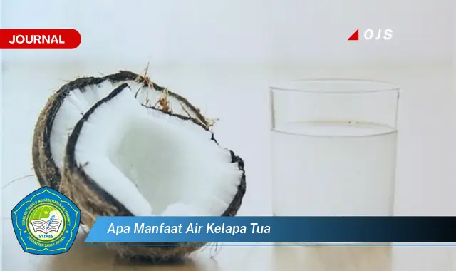 apa manfaat air kelapa tua