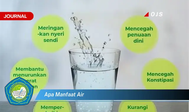 apa manfaat air