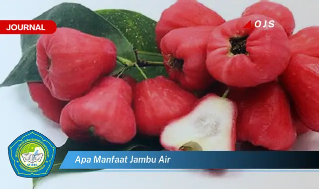 apa manfaat jambu air