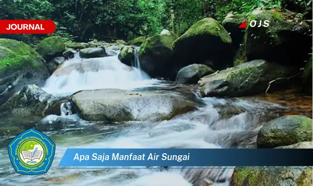 apa saja manfaat air sungai