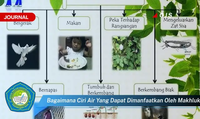 bagaimana ciri air yang dapat dimanfaatkan oleh makhluk hidup