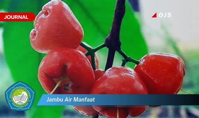 jambu air manfaat