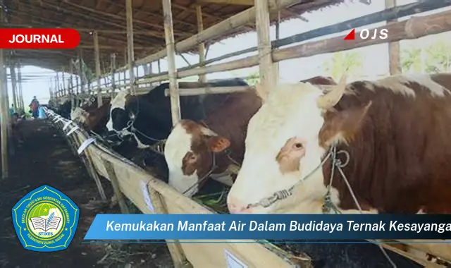 kemukakan manfaat air dalam budidaya ternak kesayangan