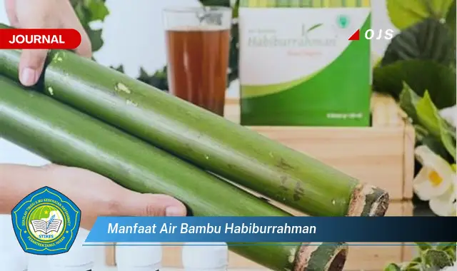 manfaat air bambu habiburrahman manfaat air bambu habiburrahman