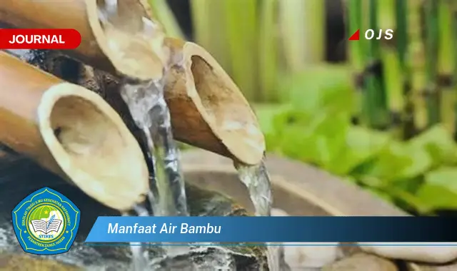 manfaat air bambu