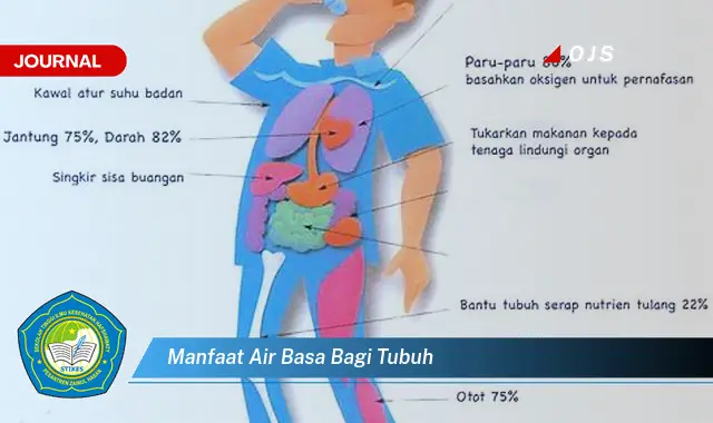 manfaat air basa bagi tubuh