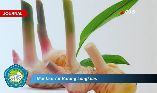 manfaat air batang lengkuas