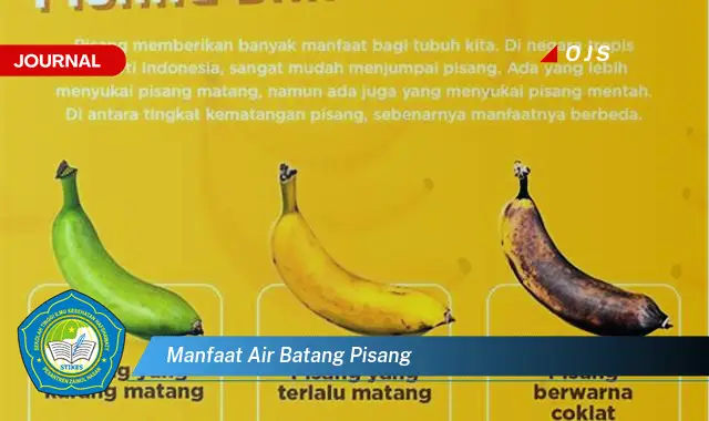 manfaat air batang pisang