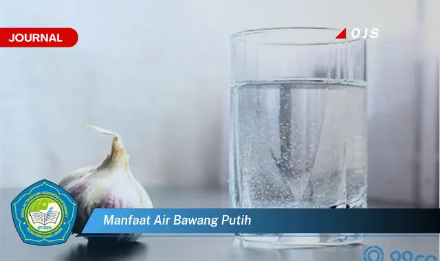 manfaat air bawang putih manfaat air bawang putih