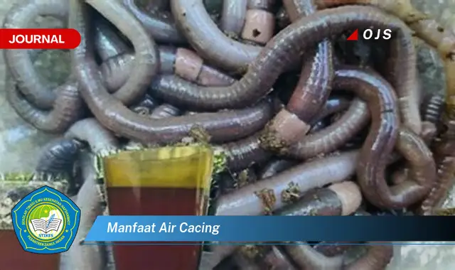 Intip 6 Manfaat Air Cacing yang Wajib Kamu Ketahui - E-Journal