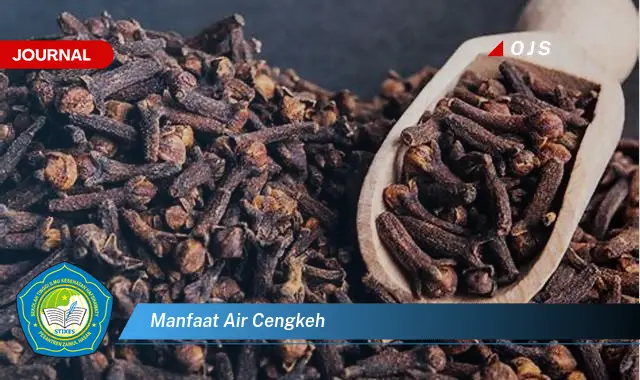 manfaat air cengkeh manfaat air cengkeh